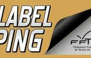 Le club de Choisy le Roi obtient 3 Labels Ping 