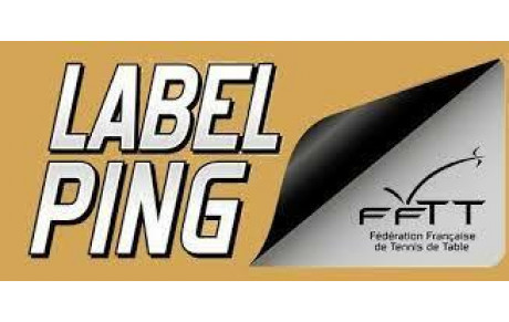 Le club de Choisy le Roi obtient 3 Labels Ping 